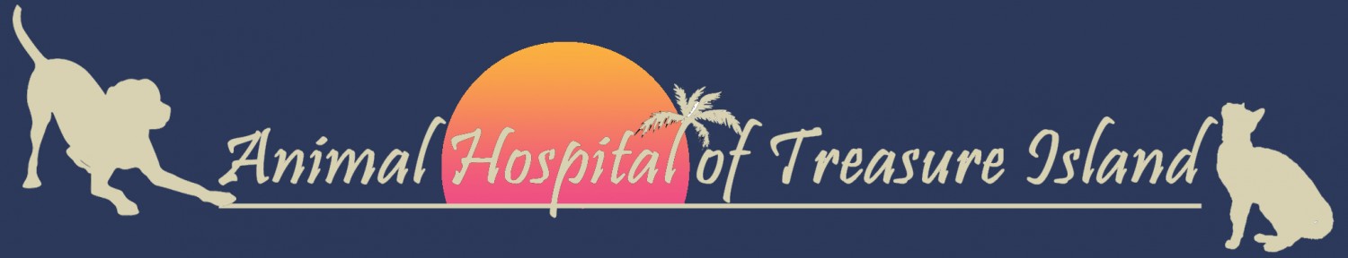 Animal Hospital of Treasure Island